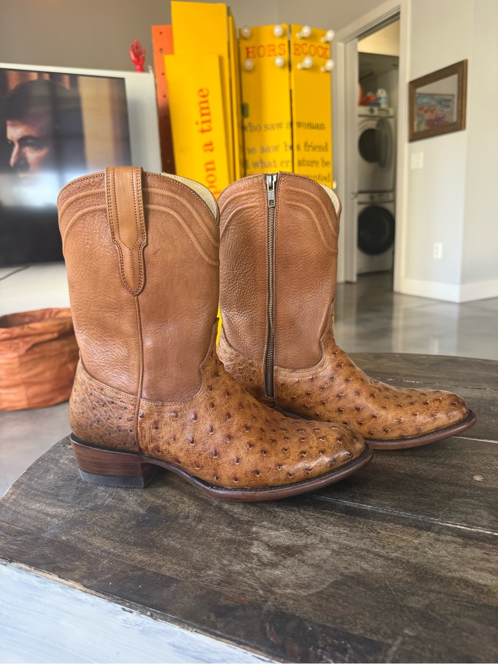 Freebird by Steven Brown Leather Western Zip Boots with Ostrich Texture - Picture 2 of 3